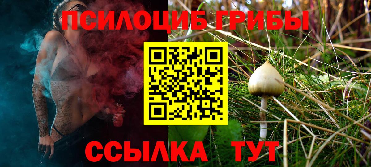 Волгоград  Псилоцибиновые грибы мицелий  Вход с VPN  Галлюциногенные грибы Cubensis 